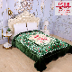  Thick Raschel Minky Fleece Blanket King Size Single 1 Ply Heavy Korean Mink Cloud Winter Blanket for Winter Autumn Home Bed Travel