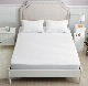 Traditional 100% Cotton Terry TPU Water-Proof Bedspread manufacturer