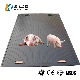  American European Pigsty Rubber Matting for Wean to Finish