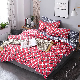  Microfiber Print Duvet Cover Set Bedding Quilt with Pillowcase Single Double King