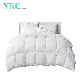  Quilts Made in China Soft 100% Cotton White Ultralight Queen Size 200X240 Cm for Hotel
