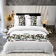  100% Cotton Colorful Hotel Bed Sheet/Comforter Set/Bedding Set