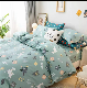Polyester Matte Printed Duvet Cover, Customized Factory Specifications