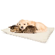 Faactory Wholesale Pet Self-Heating Mat Dog Thermal Warm Pad Blanket