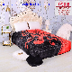  China Blanket Manufacturer Mink Super Soft Winter Blanket New Style 2023 UAE Cloudy Blankets Camping Travel Thermal Transfer Printing Blankets