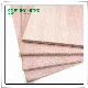 High Density Fireproof Lightweight MGO Board