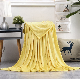  Hot Selling Super Soft Cheap Fleece Blanket
