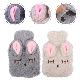  Promotional Gift 2L Natural Rubber Product Hot Water Bottle Bag Pack Hand Foot Warmer with Animal Plush Cover