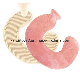  U-Shaped Hot Water Bottle with Teddy Fleece Cover Neck Shoulder Pain Relief New