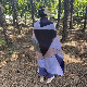  Custom Printing Scarf Digital Printing Scarf Sheer Scarf