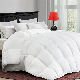  Hot Wholesales Down Comforter Hotel/Home Goose Down Filling Duvet