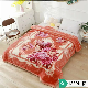  2022 Wholesale Luxury Soft Print Heavy Thick King Size Korean Style Embossed Fleece Throw Mink Raschel Blanket for Winter