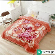  2022 Wholesale Luxury Soft Print Heavy Thick King Size Korean Style Embossed Fleece Throw Mink Raschel Blanket for Winter