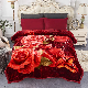  Wholesale Raschel Blankets Printing Blanket The Custom Printed Blankets
