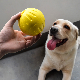  Factory New Design Throw EVA Pet Dog Toys Balls with Rope