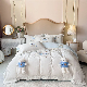  Wholesale Winter Bed Fitted Sheets Luxury Comforter Set Warm White King Size Duvet Cover Cartoon Home Textile Velvet Kids′ Bedding Set for Adult