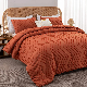  Lightweight Fluffy Bedding Set & Collections for Queen Bed, 3 Pieces