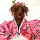  Custom Size Logo Design Paw Boutique Super Soft Printed Flannel Fleece White Sherpa Blanket for Dog