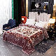  Super Soft Raschel Mink Korean Fleece Polyester Cloudy Blanket with PVC Bag