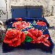  Double Thick Warming Chunky Soft Fleece Plush Bed Raschel Blankets for Winter