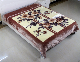 Multi Style Polyester Mink Rachel Blankets for Double Bed