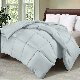  Bedding Comforter Duvet Insert - Quilted Comforter with Corner Tabs -Box Stitched Down Alternative Comforter (Full, Light Grey)