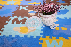 Washable and Soft Baby Indoor Activity Play Beach Access Mat