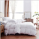  Luxury Eco-Friendly Super Warm 90% White Goose Down Duvet