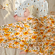  Wholesale Baby Blanket Factory Price Organic Cotton Bamboo Muslin Organic Baby Swaddle Blanket for Newborn