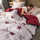  New Double-Layer Thickened Flange Lamb Cashmere Composite Blanket