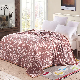 European Style Factory Wholesale 100% Microfiber Fleece Blankets