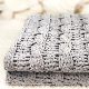  Ultra Soft Gray Woven Acrylic with Polyester Chenille Stripe Throw Blanket with Bag