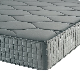Or006 Soft Organic Plam Oil 45D Memory Foam 25cm Pocket Spring Mattress manufacturer