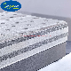  Made in China Eurotop Queen Latex Foam Bonnel Spring Bed Mattress for Hotel Bed