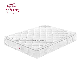  Bedroom Furniture Mattress Wholesale in China Pillow Top Pocket Spring Mattress