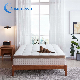  China Wholesale Factory Customized Single Bed High Quality Pocket Spring Rolled up in a Boxed Memory Foam Mattress