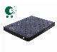  Thin Mattress Cheap Spring Mattress Furniture Pocket Spring Foam Encasement Mattress