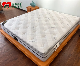  Made in China Soft Hotel Home Apartment Bedroom Furniture Spring Folding Double Wall Bed King Mattress in a Box