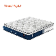  Topper Pad Natural Latex Sponge King Hotel Folding Memory Foam Spring Mattress
