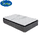  Wholesale High Quality Coir Memory Foam Latex Sponge King Size China Mattress