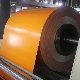  Double Coated Color Painted Metal Roofing Sheet Roll Paint Galvanized 0.6mm PPGI PPGL Steel Coil