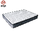  Queen Size Spring Natural Latex Mattress High Quality Hotel King Size Mattress