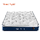 Home Spring Mattress Compressed Customize Size Bedroom Furniture Latex Mattress
