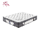 12.3 Latex Mattress Price Europe Top Pocket Spring Mattresses manufacturer