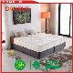 New Design Popular Style Full Size Single Pillow Top Spring Mattress with Soft Foam manufacturer