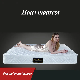  Superior Quality Spring Five-Star Hotel Single Bed Mattress for Bedroom Set
