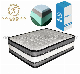  Hotel Mattress Memory Foam Mattress Roll Packed Mattress