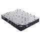  Hotel Bedroom Modern Queen Size Compression Wrapped Mattress