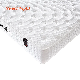  China Wholesale High Density Foam Latex Folding Bed with Polyfibre Spring Mattress