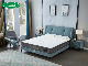  Super Soft Cheap Mattress Full Size Bedroom Furniture Cotton Fabric China Wholesale Foam Bed Mattress Vacuum Packing Pocket Spring Mattress Bed Mattress